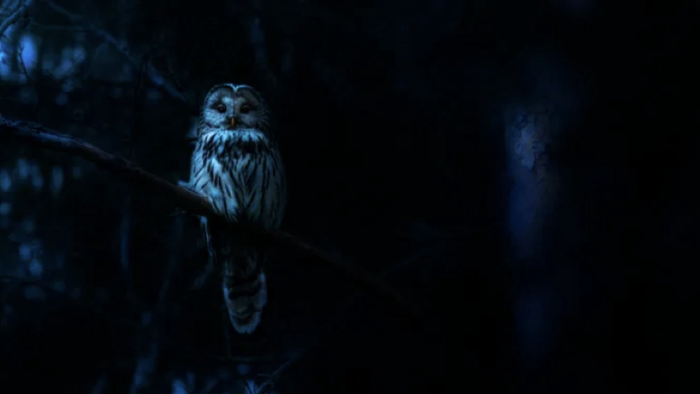 Ác Mộng Của Thiên Nhiên - Nightmares of Nature