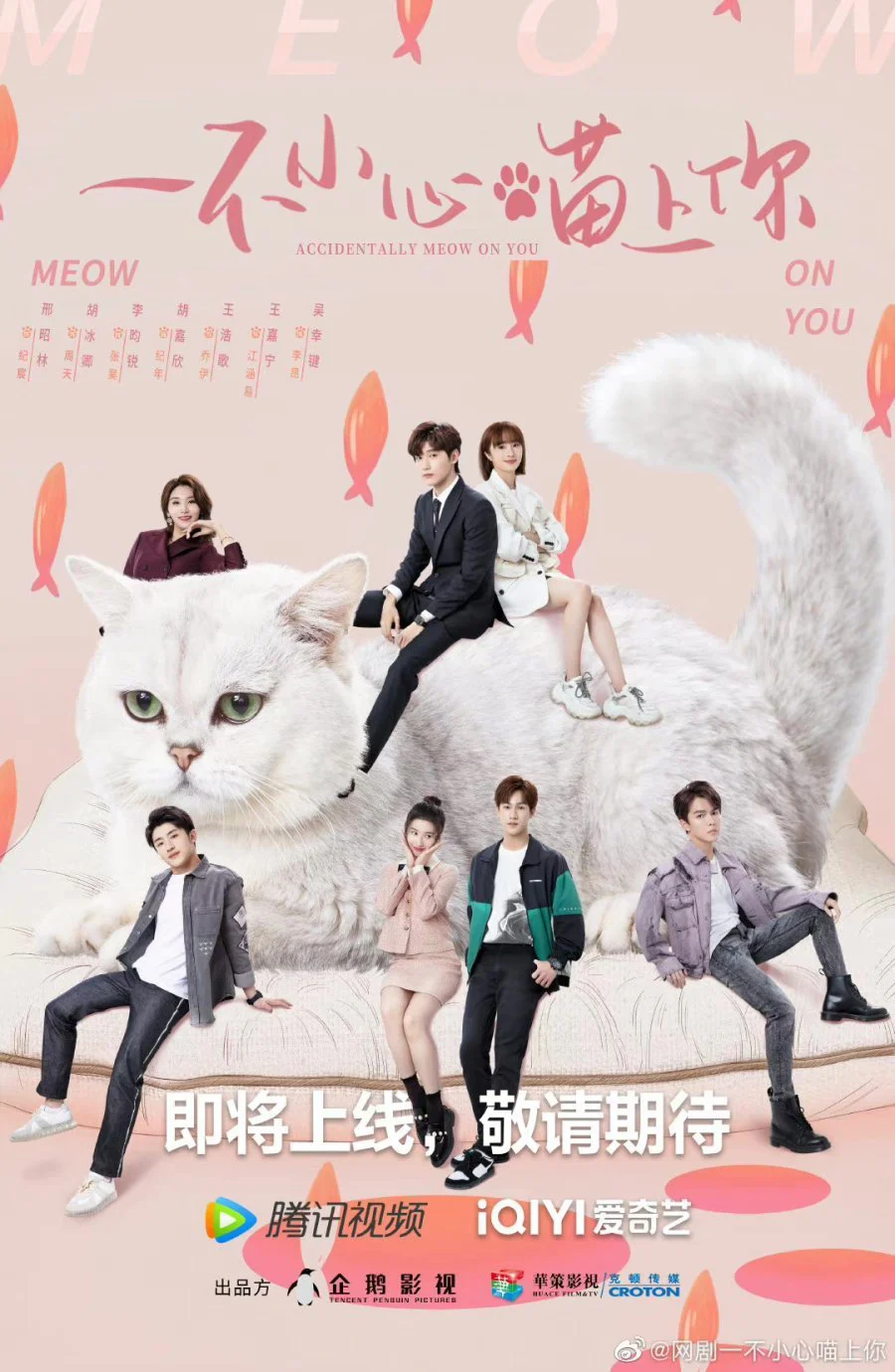 Bất Cẩn Meow Phải Anh - Accidentally Meow On You (2022) Bất Cẩn Meow Phải Anh - Accidentally Meow On You (2022)