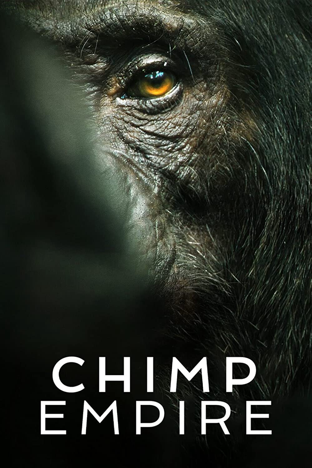 Đế chế tinh tinh - Chimp Empire (2023) Đế chế tinh tinh - Chimp Empire (2023)
