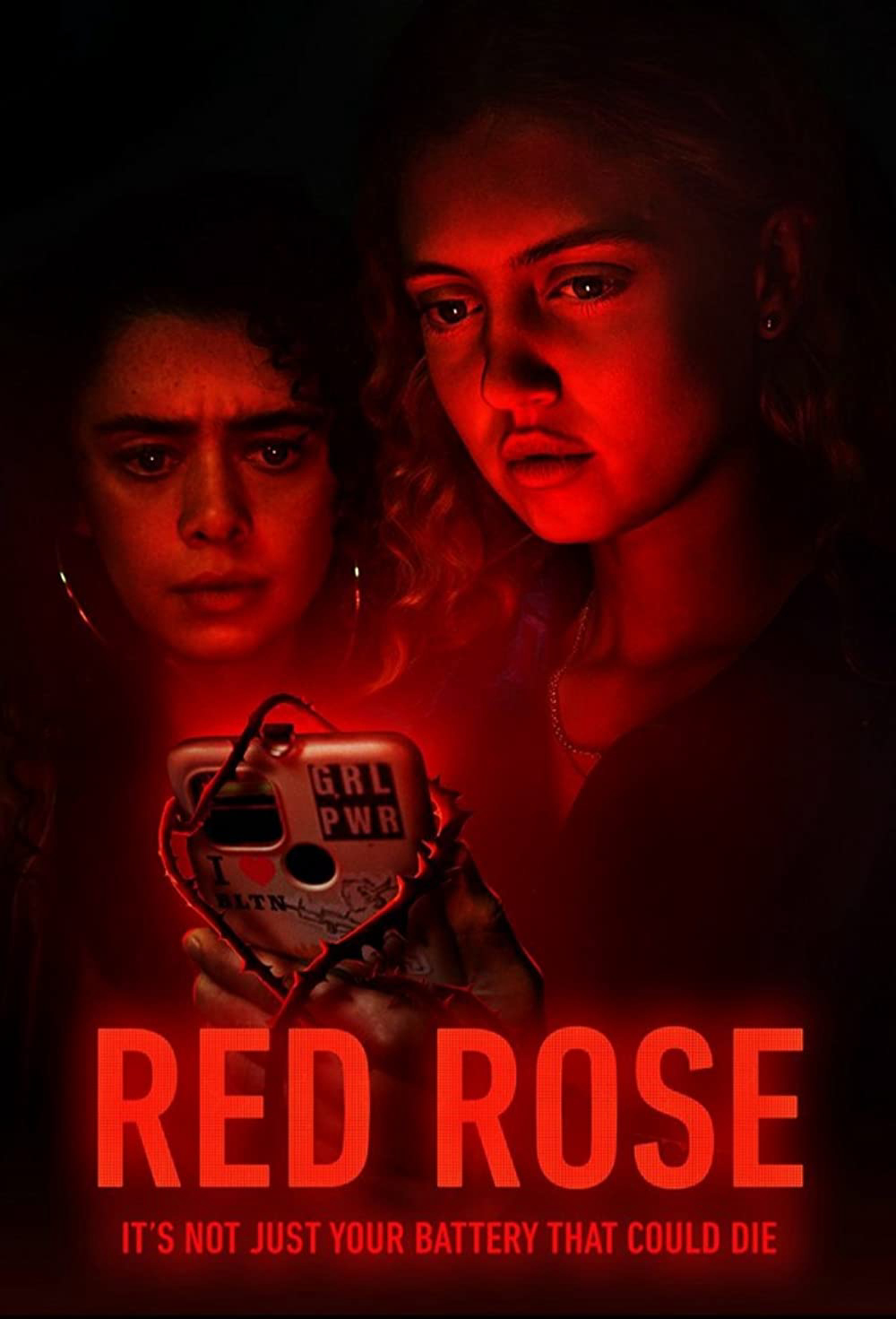 Hoa hồng đỏ - Red Rose (2023) Hoa hồng đỏ - Red Rose (2023)