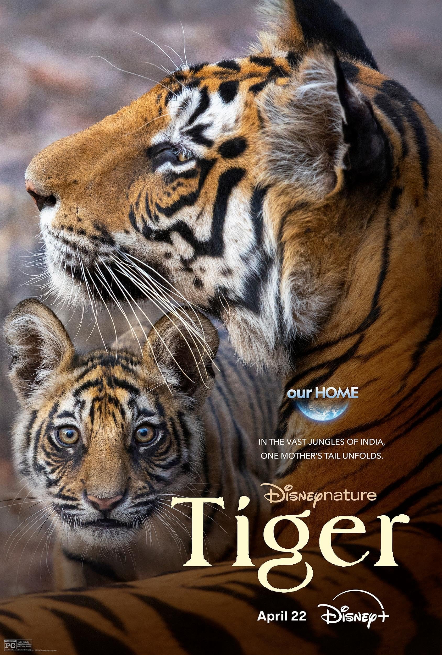 Tiger - Tiger (2024) Tiger - Tiger (2024)