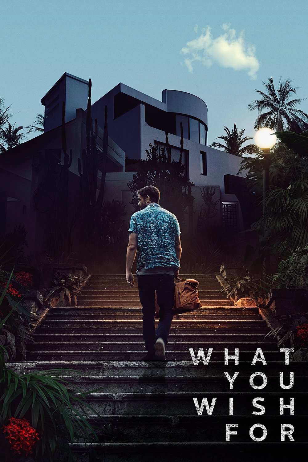 What You Wish For - What You Wish For (2024) What You Wish For - What You Wish For (2024)