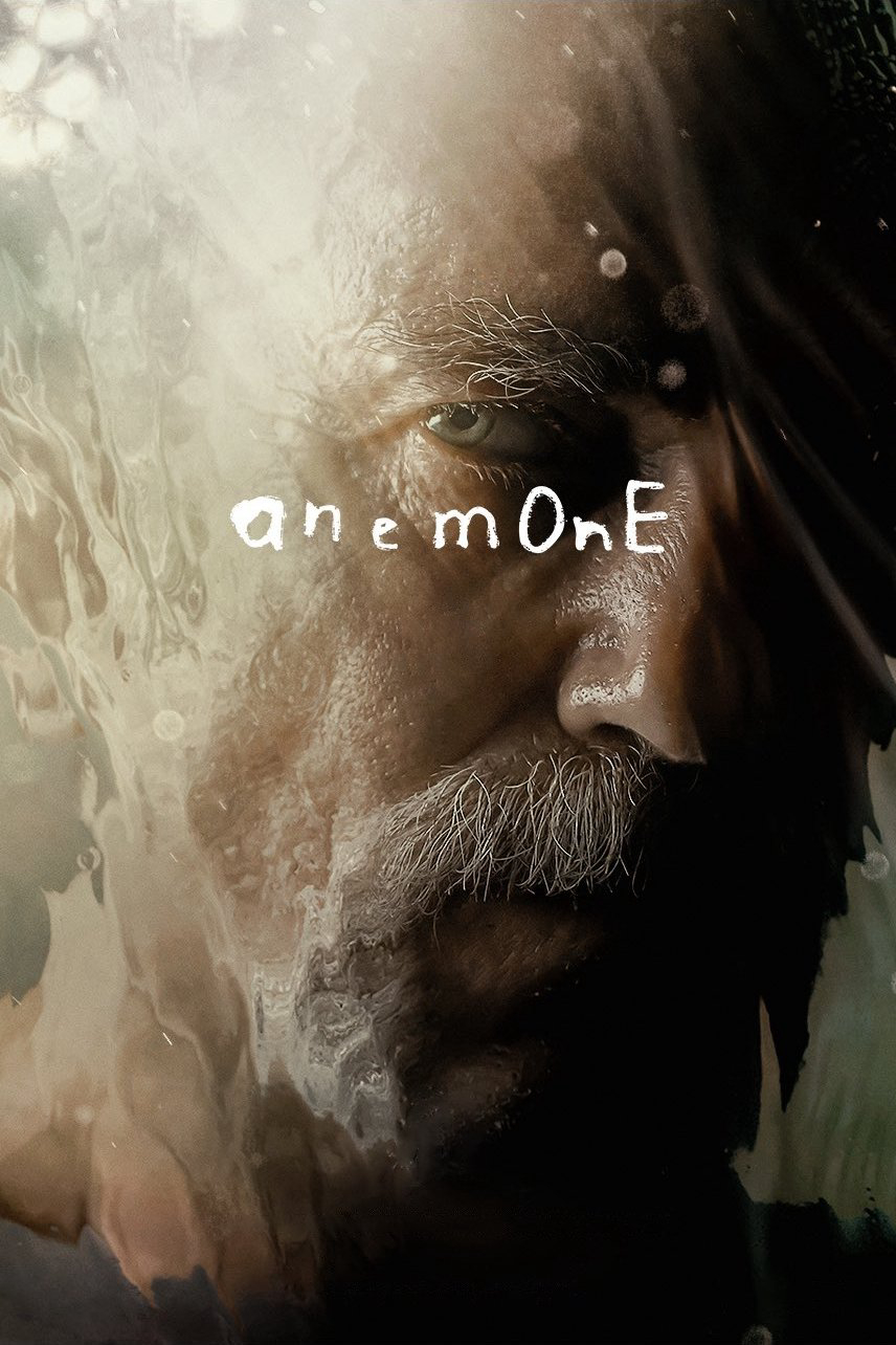 Anemone - Anemone (2025) Anemone - Anemone (2025)
