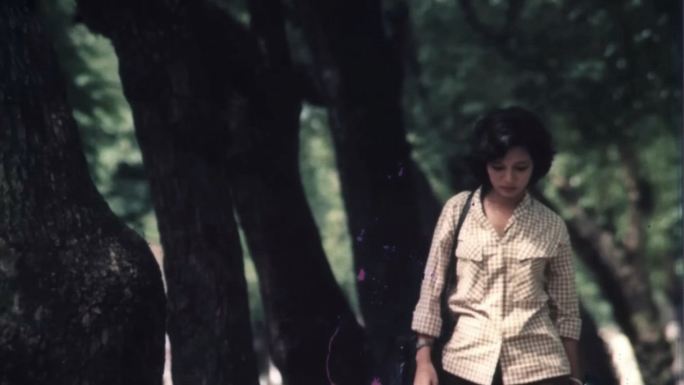 Cô gái trên sông - The Girl on the River