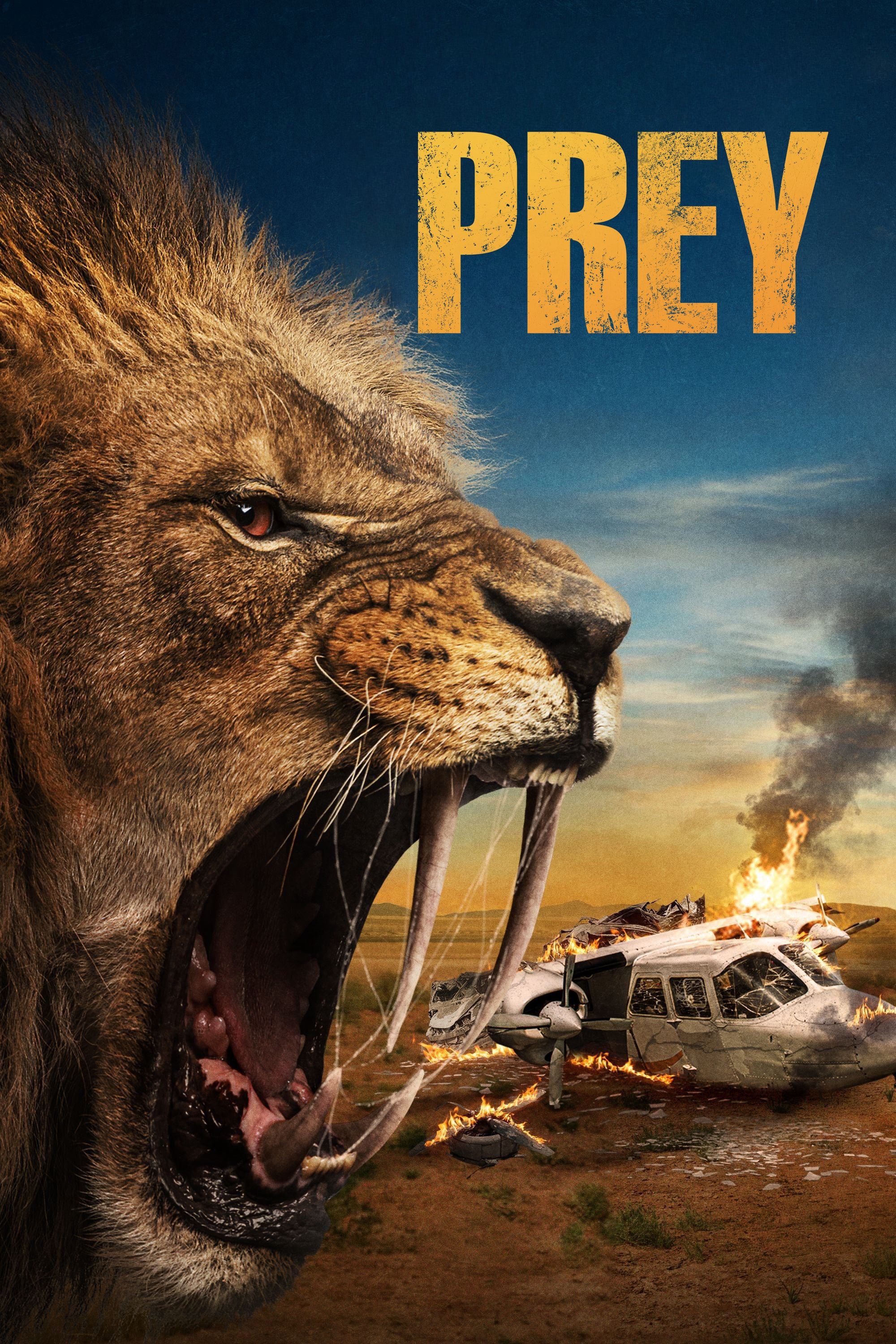 Con mồi - Prey (2024) Con mồi - Prey (2024)