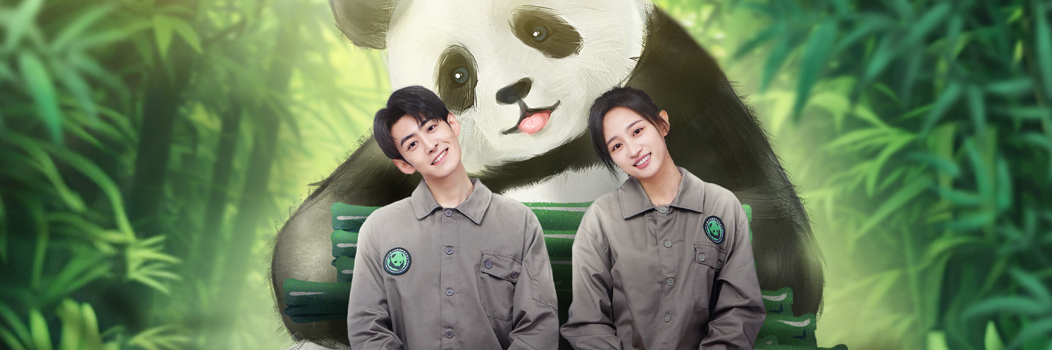 Gấu Trúc Và Bạn, Lăn Đến Đây! -  Panda & You Rolling In