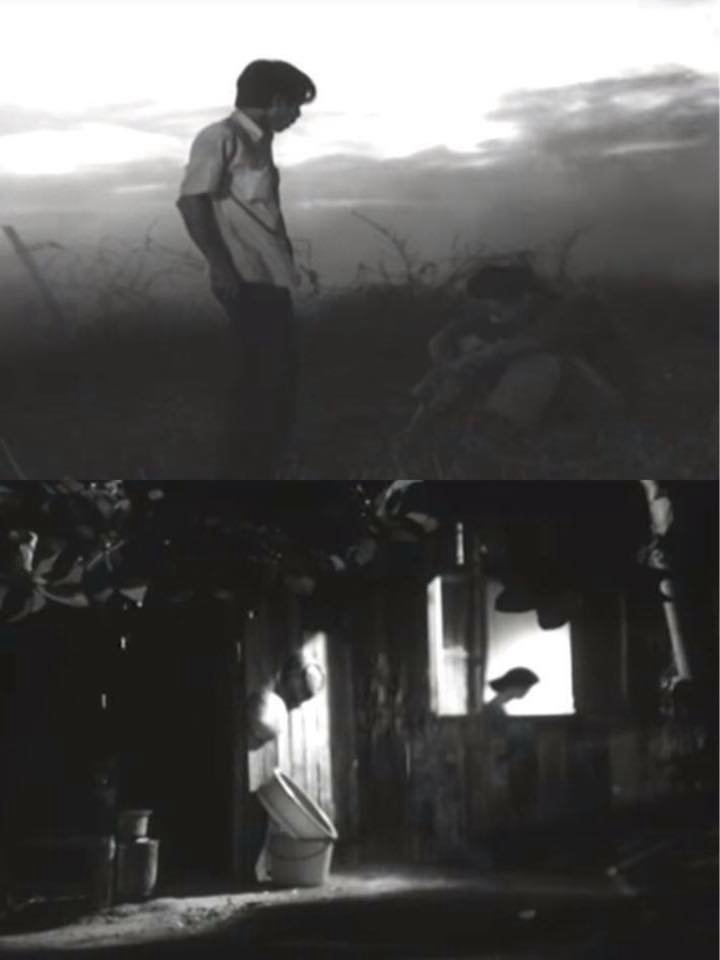 Khoảng Cách Còn Lại - The Last Distance Between Us (1981) Khoảng Cách Còn Lại - The Last Distance Between Us (1981)