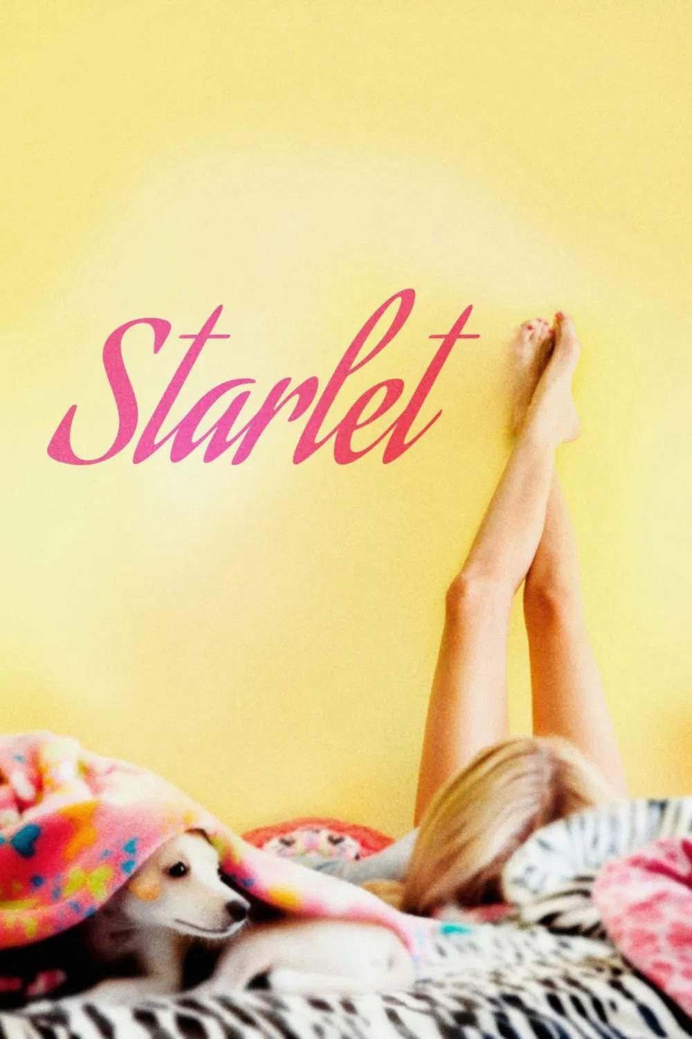 Ngôi sao - Starlet (2012) Ngôi sao - Starlet (2012)