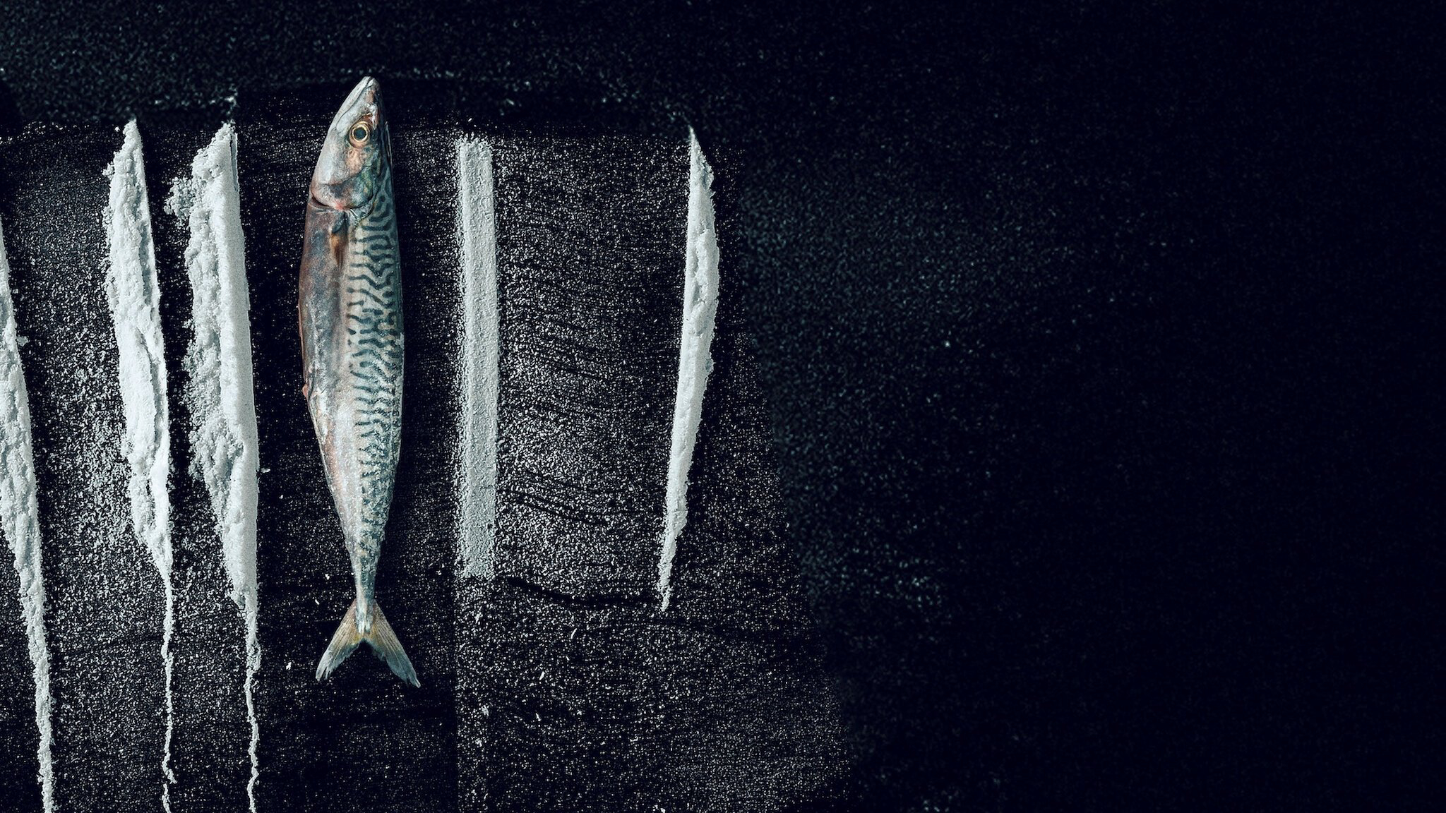 Sống Triều Đổi Vận: Câu Chuyện Siêu  Thực Tế Rabo de Peixe - Turn of the Tide: The Surreal Story of Rabo de Peixe