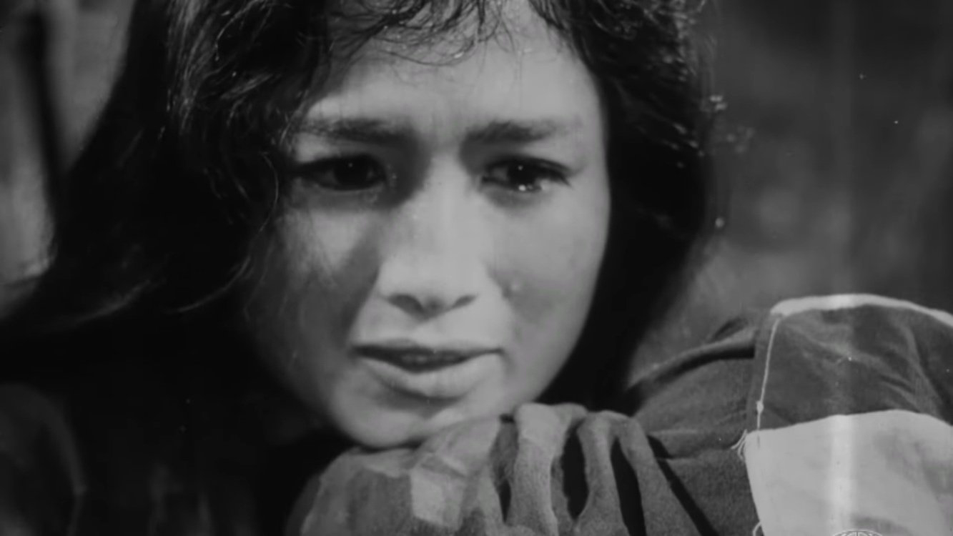 Vĩ Tuyến 17 Ngày Và Đêm - 17th Parallel, Nights and Days