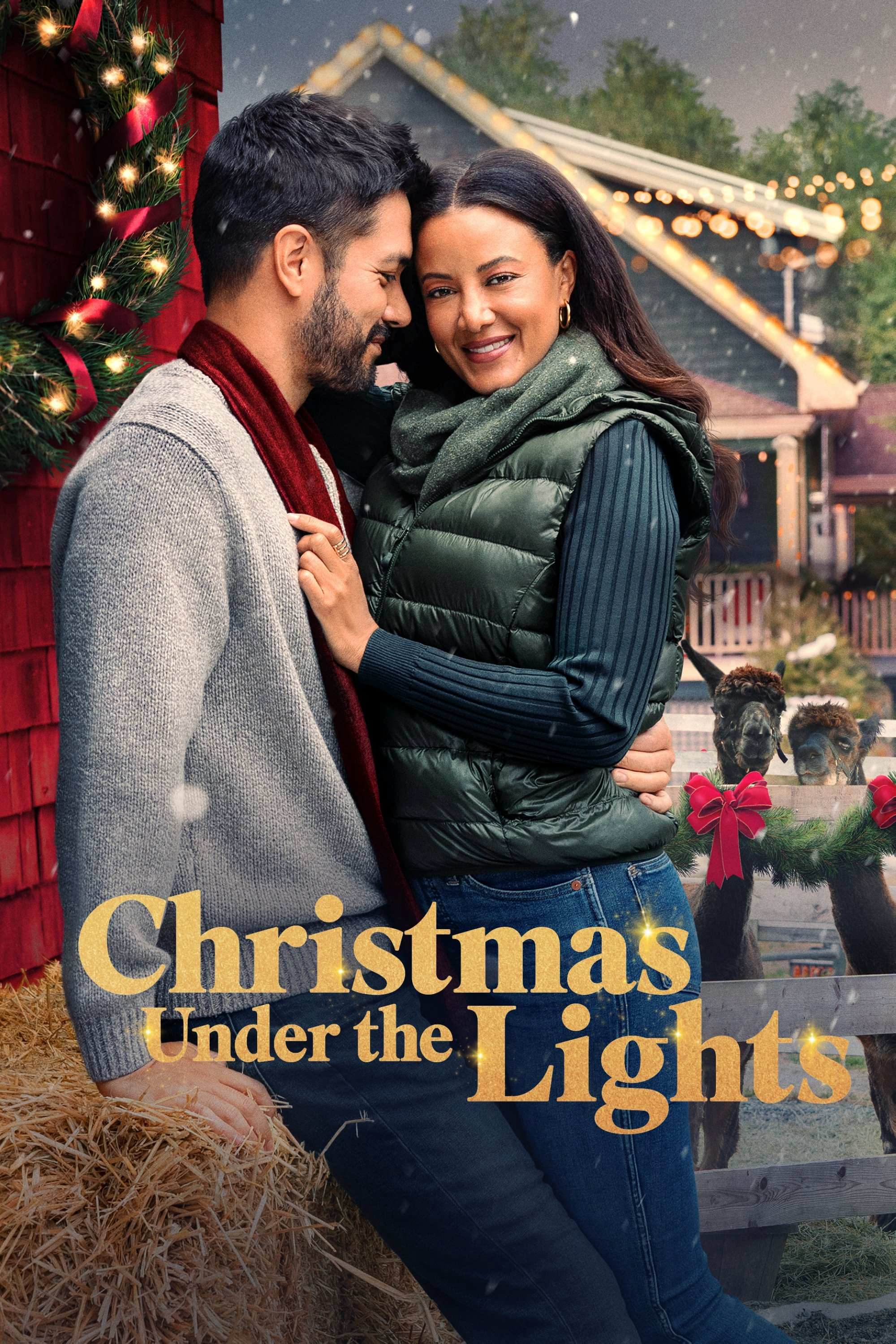 Giáng sinh dưới ánh đèn - Christmas Under the Lights (2024) Giáng sinh dưới ánh đèn - Christmas Under the Lights (2024)